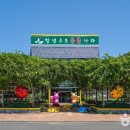 창녕우포곤충나라 이미지