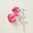 캘리그라피 순간