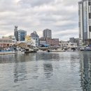 속초갯배 이미지