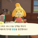 모동숲 스샷정리39 (다가오는 이스터, 차둘의 이사, 페더 데려오기)