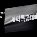 마일드세탁 이미지