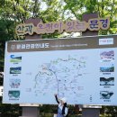 문경 점촌점빵길 축제 후기: 토요장과 경품 행사로 가득한 현장 체험
