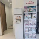 킨텍스꿈동물병원 이미지