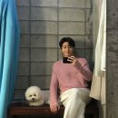 드림노래빵 이미지