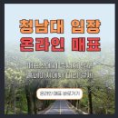청남대 가을국화축제 주차장 예약 대기 인스타핫플 소요시간