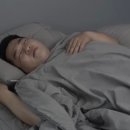 꽃집;사계 이미지