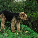 이레농장 이미지