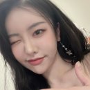 보조개강쥐 네이버블로그