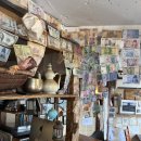 제주안에서 이미지