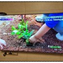 세종전의묘목협동조합 이미지