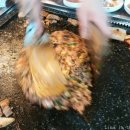 경기생고기전문점 이미지