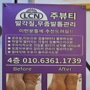 (주)톡톡뷰티