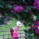 가실마을 이미지