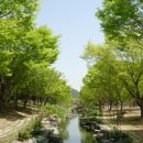 <6월등산여행동아리정기모임> 6월 24일 일요일 진성수목원 피크닉가요~!! 이미지