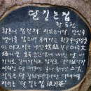 장흥 한승원해산토굴, 보림사 국보 탐방 이미지