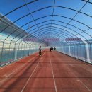 주경기장 트랙 이미지