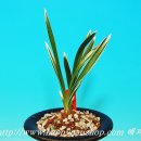 시흥-은행-시흥-013 이미지