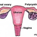 단아한의원 이미지