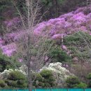 (주)효성 안양공장 이미지