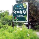 유준이네농원 | 2020햅쌀 우렁이농법 경기미 9월5일 수확