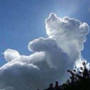 인사이트 이미지