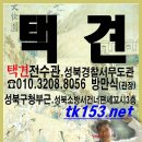 성북구택견연합회생활체육12월수강생모집 이미지