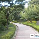 남산공원 이미지