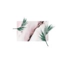 블리스팜 - 수원시 영통구 | 블리스팜