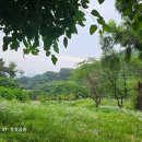 2025.7.27(일) 문학산~문학공원으로... 이미지