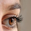 미학개론 | [양산미용학원/양산중부동미용학원] 학원에서 배우는 메이크업, 대학교 수업과 뭐가 다를까?