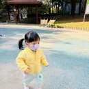 가을이 좋아요🍂 서구 관저동 마음어린이집 이미지