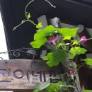 유진이네집