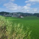 황교보건진료소 이미지