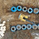 조태형농장 이미지