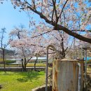 동해 구 삼척개발 사택과 합숙소 이미지