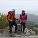 내서읍727 이미지