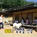 삼척 너와마을 Daum카페