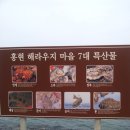 홍현해라우지마을 이미지