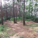 삼척활기자연휴양림 이미지