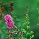 용산1동주민센터 이미지