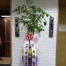 이번주 토요일 스크린 번개~~ 이미지