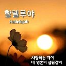 [컬럼] 기적의 하나님 / 인류 최고의 선물 예수 그리스도 이미지