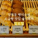 망원동 소금빵맛집 빵지순례 밀로밀 내돈내산 솔직후기