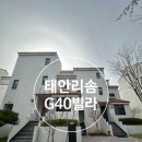 비비큐치킨 태안원북점 | 태안 리솜 아일랜드 리솜 g40 오션빌라스 꽃지해변 독채