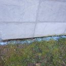 매송보건지소 이미지