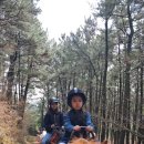 제주제이스타 이미지