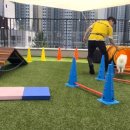 옐레드 송파헬리오시티점 이미지