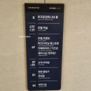 큰선우골천 | 속초 가성비 호텔 내돈내산 아이파크스위트 파셜 오션뷰 룸 수영장 솔직후기