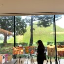 에츠 | 경주 오아르미술관, 유현준 건축가 공간 속 에가미 에츠 전시 후기 (아이랑 가볼만한 곳 추천)