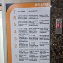 오므파탈 김포운양점 | 김포 아이와 함께 외식하기좋은 운양동 오므파탈